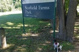 Discover Scofield Farms Park: Your Local Green Escape | The Conscious Farmer | Sustainable Agriculture for a Healthier Planet