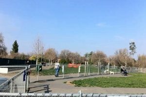 Your Guide to Heather Farms Dog Park: Play & Relax | The Conscious Farmer | Sustainable Agriculture for a Healthier Planet