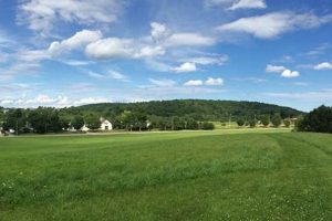 Visit Woodsom Farm Park: Nature & Fun Await! | The Conscious Farmer | Sustainable Agriculture for a Healthier Planet