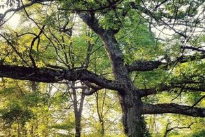 Explore Christie Hoffman Farm Park: A Local Gem! | The Conscious Farmer | Sustainable Agriculture for a Healthier Planet