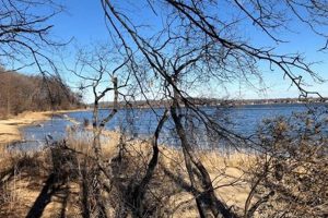 Visit South River Farm Park: A Nature's Farm Paradise! | The Conscious Farmer | Sustainable Agriculture for a Healthier Planet