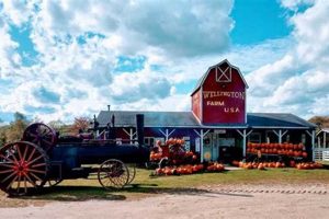 Visit Wellington Farm Park: A Historical Gem! | The Conscious Farmer | Sustainable Agriculture for a Healthier Planet