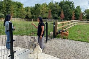 Your Guide to Croft Farm Dog Park | Fun & Safe! | The Conscious Farmer | Sustainable Agriculture for a Healthier Planet
