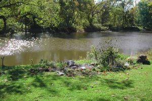 Visit Benedict Farm Park: History & Fun! | The Conscious Farmer | Sustainable Agriculture for a Healthier Planet