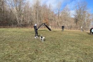 Butler Farm Dog Park: Your Dog's Paradise! | The Conscious Farmer | Sustainable Agriculture for a Healthier Planet