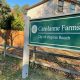 Carolanne Farms Park: A Neighborhood Gem Near You | The Conscious Farmer | Sustainable Agriculture for a Healthier Planet