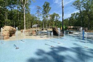 Visit Taylor Farm Park Henrico: Guide &amp; Fun | The Conscious Farmer | Sustainable Agriculture for a Healthier Planet