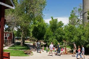 Visit The Farm at Lee Martinez Park: Fort Collins' Gem The Conscious Farmer | Sustainable Agriculture for a Healthier Planet Visit The Farm at Lee Martinez Park: Fort Collins' Gem | The Conscious Farmer | Sustainable Agriculture for a Healthier Planet