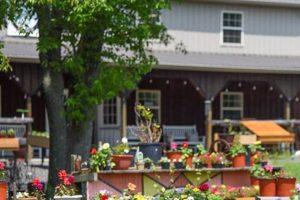 Farm Oasis: Central Park at the Farm for All! The Conscious Farmer | Sustainable Agriculture for a Healthier Planet Farm Oasis: Central Park at the Farm for All! | The Conscious Farmer | Sustainable Agriculture for a Healthier Planet