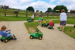Visit Cotswold Farm Park: Rare Breeds & Family Fun! | The Conscious Farmer | Sustainable Agriculture for a Healthier Planet