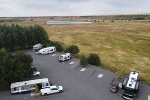 Your Guide to Gristmill Farms RV Park: A Camping Paradise | The Conscious Farmer | Sustainable Agriculture for a Healthier Planet