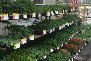 Your Local Clopine Farm Supply Store: [City/Region] Ag Needs | The Conscious Farmer | Sustainable Agriculture for a Healthier Planet