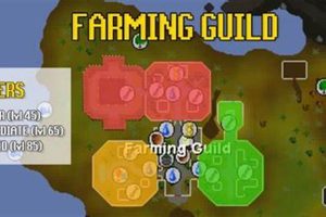 Essential OSRS Farming Supplies: Grow Rich! | The Conscious Farmer | Sustainable Agriculture for a Healthier Planet
