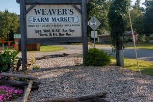Your Local Weavers Farm Supply: Quality & More! | The Conscious Farmer | Sustainable Agriculture for a Healthier Planet