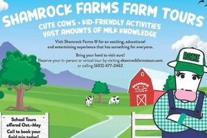 Shamrock Farms Supply Chain: Efficiency & Freshness | The Conscious Farmer | Sustainable Agriculture for a Healthier Planet