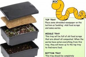 Essential Worm Farm Supplies: Shop Now! | The Conscious Farmer | Sustainable Agriculture for a Healthier Planet