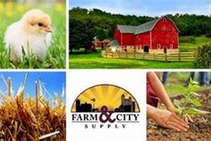 Bridge the Gap: Farm and City Supply Solutions | The Conscious Farmer | Sustainable Agriculture for a Healthier Planet