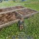 Inside Enshrouded Animal Farming's Future | The Conscious Farmer | Sustainable Agriculture for a Healthier Planet