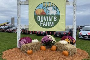 Govin's Farm: Sustainable Farming Excellence | The Conscious Farmer | Sustainable Agriculture for a Healthier Planet