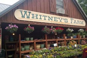 Growing with Whitney's Farm: Sustainable Farming Tips | The Conscious Farmer | Sustainable Agriculture for a Healthier Planet