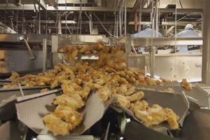 Unlock Perdue Farms Careers: Your Path in Agriculture! | The Conscious Farmer | Sustainable Agriculture for a Healthier Planet