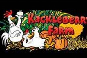 Discover Farmer Charley's Kackleberry Farm Today! | The Conscious Farmer | Sustainable Agriculture for a Healthier Planet
