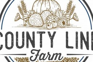 Discover County Line Farms: Fresh Local Goodness | The Conscious Farmer | Sustainable Agriculture for a Healthier Planet
