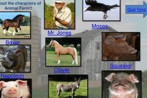 Animal Farm: Who Does the Cat Represent? Meaning & Symbolism | The Conscious Farmer | Sustainable Agriculture for a Healthier Planet