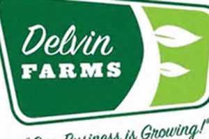 Exploring Delvin Farms: Local Farming Freshness | The Conscious Farmer | Sustainable Agriculture for a Healthier Planet