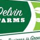 Exploring Delvin Farms: Local Farming Freshness | The Conscious Farmer | Sustainable Agriculture for a Healthier Planet