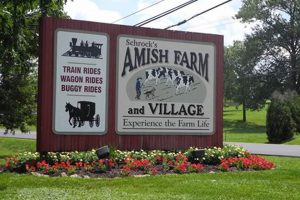 Visit Schrock's Amish Farm & Village: A Farming Experience | The Conscious Farmer | Sustainable Agriculture for a Healthier Planet