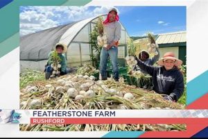 Sustainable Farming at Featherstone Farm &amp; Beyond | The Conscious Farmer | Sustainable Agriculture for a Healthier Planet