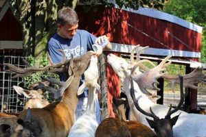 Discover Deer Farm Riding Stables Near You: An Equestrian Escape | The Conscious Farmer | Sustainable Agriculture for a Healthier Planet