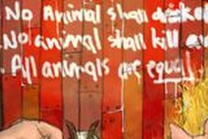 Animalism in Animal Farm: Guide & Meaning Explained | The Conscious Farmer | Sustainable Agriculture for a Healthier Planet