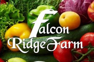 Your Local: Falcon Ridge Farm's Fresh Harvest & More | The Conscious Farmer | Sustainable Agriculture for a Healthier Planet