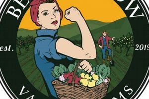 Discover Bearwallow Farms: Your Local Farm Fresh! | The Conscious Farmer | Sustainable Agriculture for a Healthier Planet
