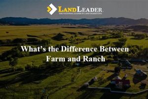 Farm vs. Ranch: What's the Key Difference? | The Conscious Farmer | Sustainable Agriculture for a Healthier Planet