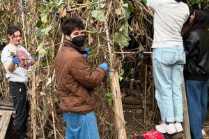 Visit Bushwick City Farm: An Urban Oasis in NYC | The Conscious Farmer | Sustainable Agriculture for a Healthier Planet