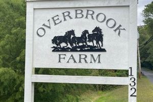 Living in Overbrook Farms: Your Guide to the Neighborhood | The Conscious Farmer | Sustainable Agriculture for a Healthier Planet