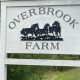 Living in Overbrook Farms: Your Guide to the Neighborhood | The Conscious Farmer | Sustainable Agriculture for a Healthier Planet