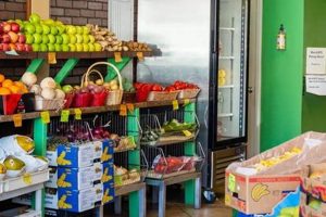 Local Farms: East Boston Farm Stand Finds & Fresh Picks | The Conscious Farmer | Sustainable Agriculture for a Healthier Planet