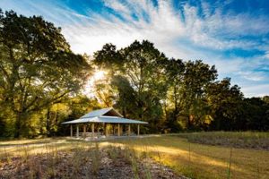 Explore Horseshoe Farm Nature Preserve: A Farming Haven | The Conscious Farmer | Sustainable Agriculture for a Healthier Planet