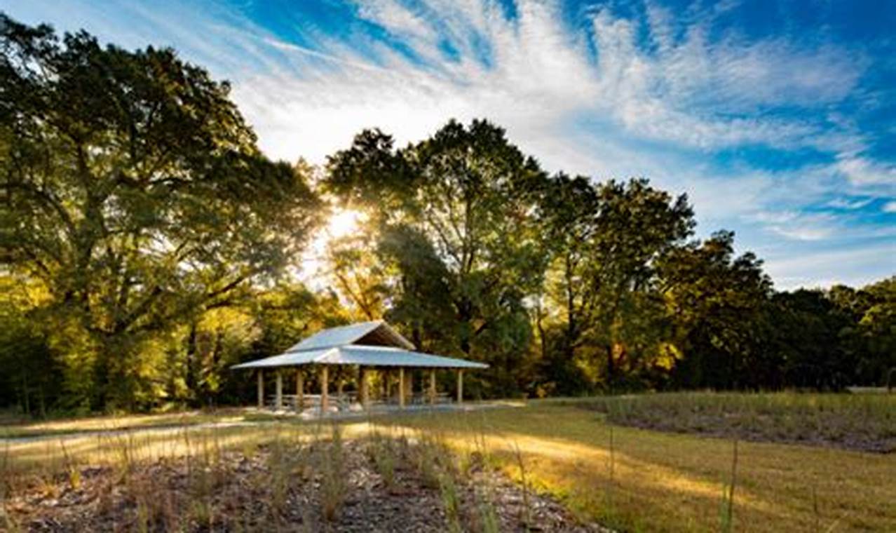 Explore Horseshoe Farm Nature Preserve: A Farming Haven | The Conscious Farmer | Sustainable Agriculture for a Healthier Planet