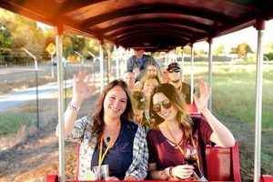 Visit Hawes Farm: Your Local Family Farming Adventure | The Conscious Farmer | Sustainable Agriculture for a Healthier Planet
