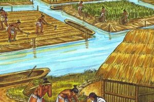 Maya Farming Pictures: Ancient Agriculture Today | The Conscious Farmer | Sustainable Agriculture for a Healthier Planet
