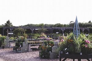 Farm Fresh: Farmer's Daughter, South Kingstown, RI Dining | The Conscious Farmer | Sustainable Agriculture for a Healthier Planet