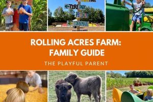 Your Guide to Rolling Acres Farm Success: Farming Tips | The Conscious Farmer | Sustainable Agriculture for a Healthier Planet