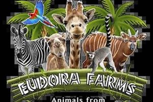 Save Big! Eudora Farms Coupons & Deals Today | The Conscious Farmer | Sustainable Agriculture for a Healthier Planet