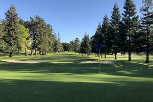 Luxury Blackberry Farm Golf: Tee Off in Paradise | The Conscious Farmer | Sustainable Agriculture for a Healthier Planet