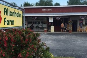Visit Allenholm Farm: Apples, Fun & More! | The Conscious Farmer | Sustainable Agriculture for a Healthier Planet